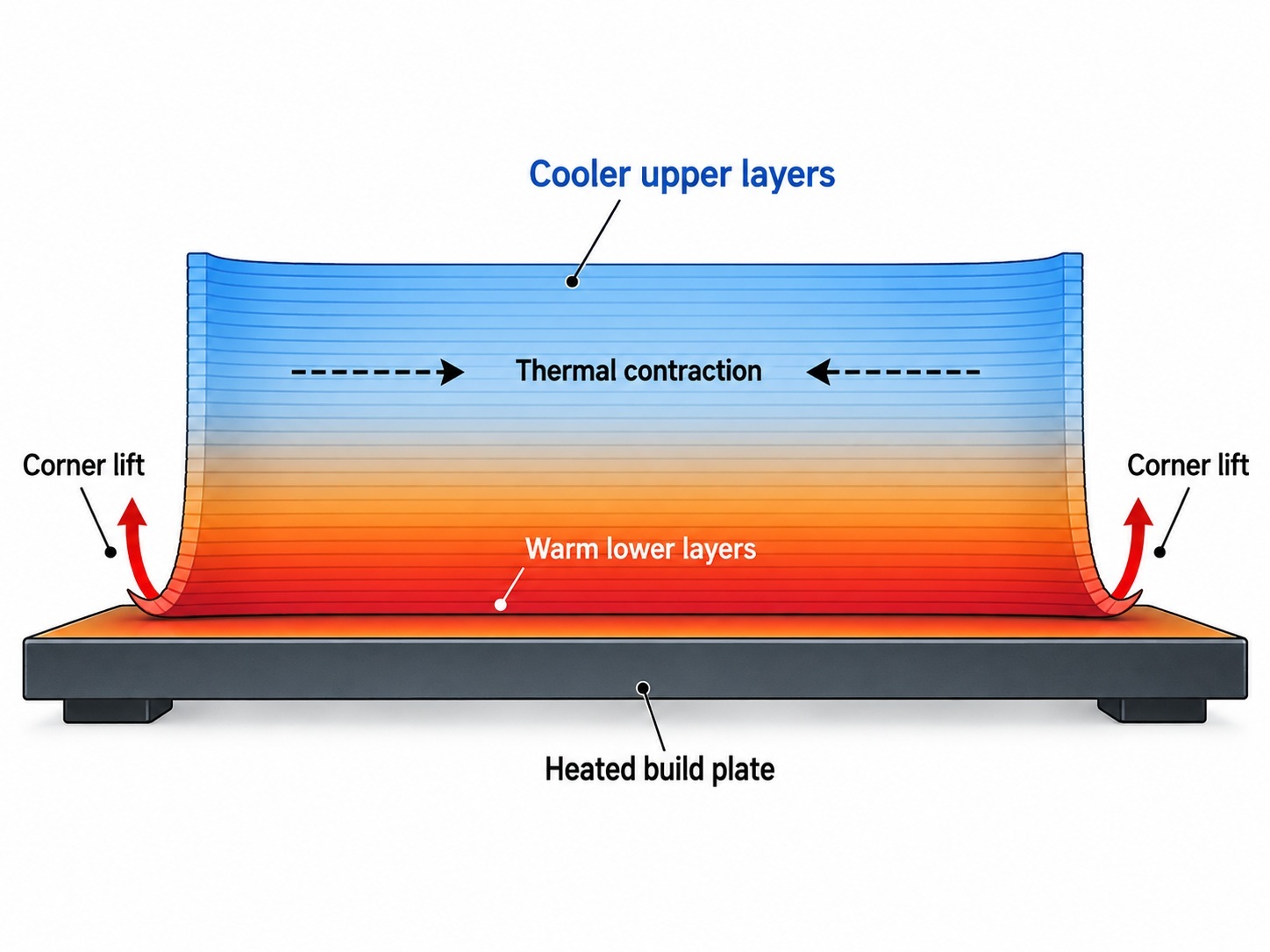 Diagram showing uneven cooling and thermal contraction pulling the corners of a 3D printed part upward.